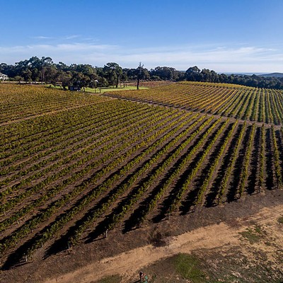 Aerial view of Simpson Estate from a drone